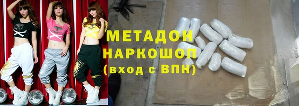 индика Дмитров