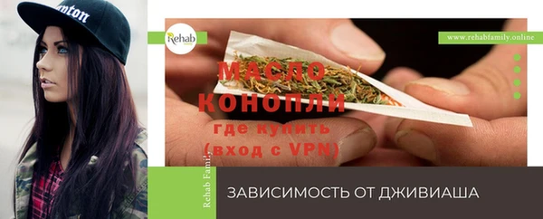 индика Дмитров