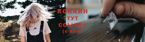 индика Дмитров
