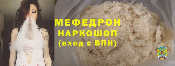 индика Дмитров