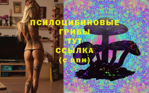 мяу мяу мука Дмитровск