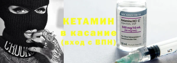 индика Дмитров