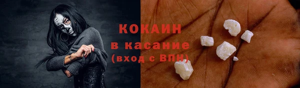 индика Дмитров
