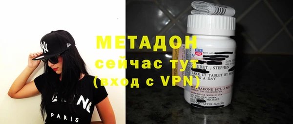 индика Дмитров