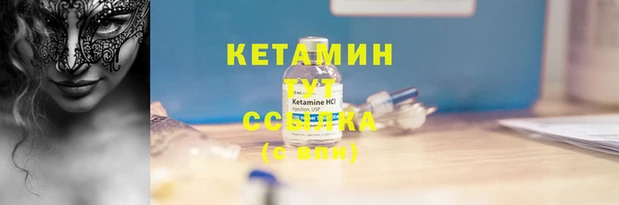 индика Дмитров