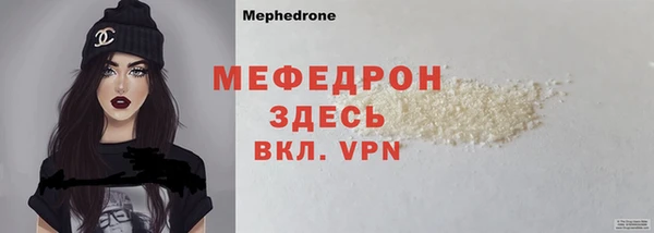 индика Дмитров