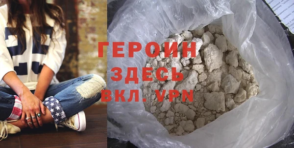 индика Дмитров