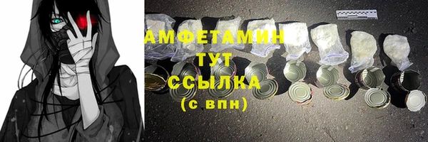 индика Дмитров