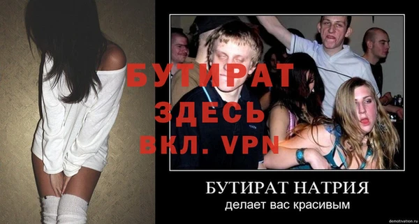 индика Дмитров