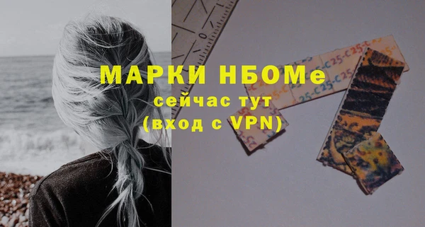 индика Дмитров